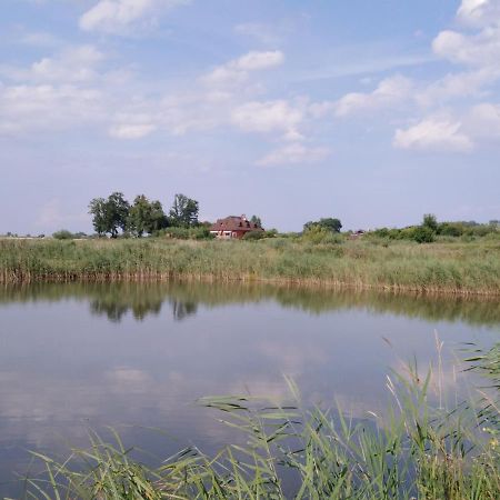 הוילה Rejowiec Rybakowka מראה חיצוני תמונה